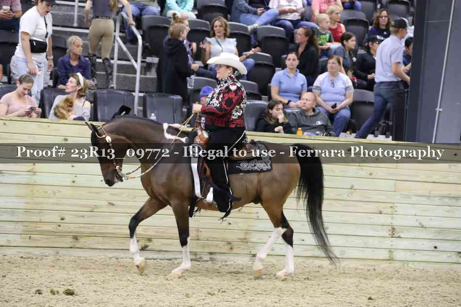 Proof Number 23R13_09772