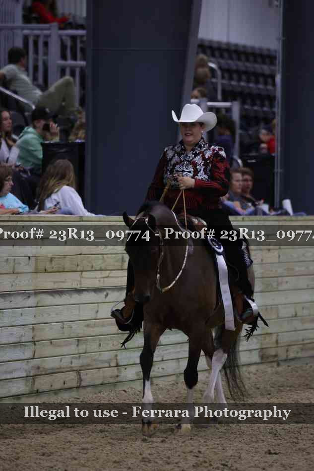Proof Number 23R13_09774