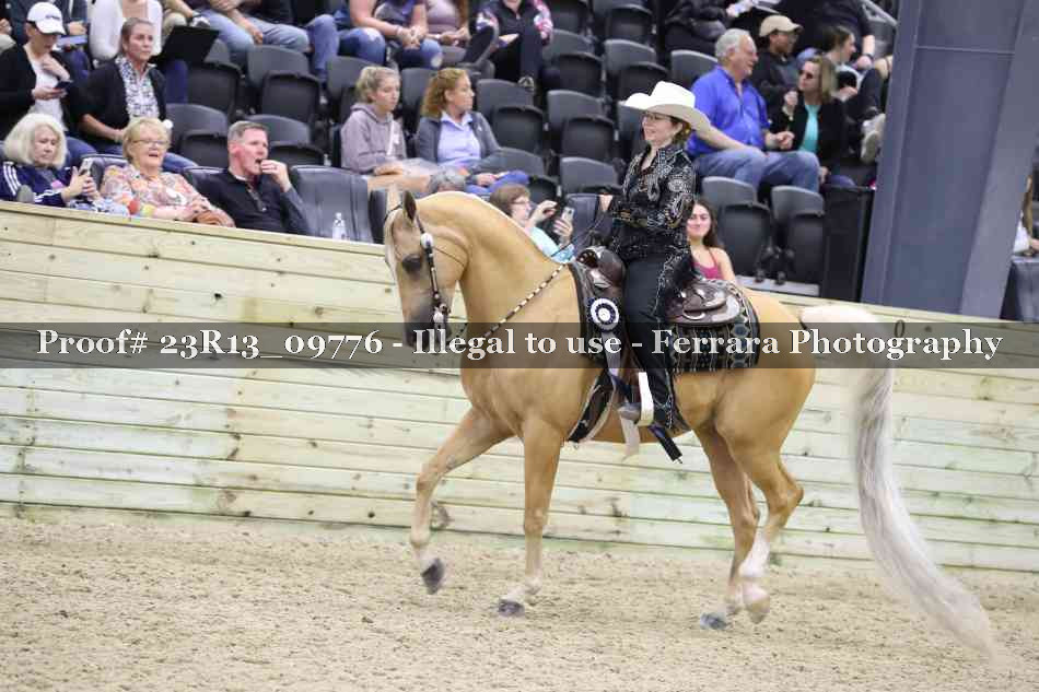 Proof Number 23R13_09776