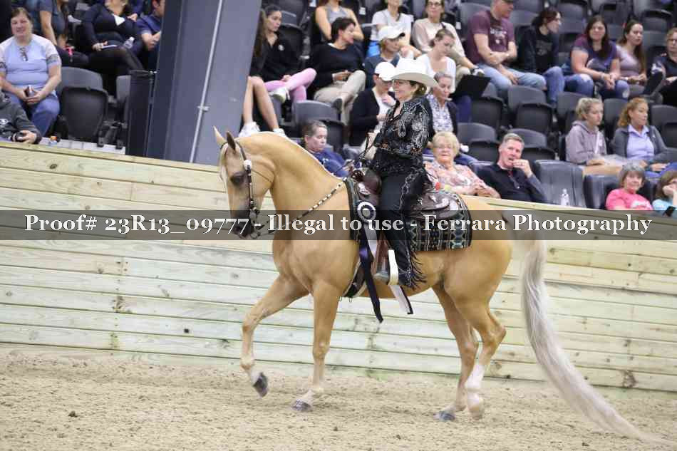 Proof Number 23R13_09777