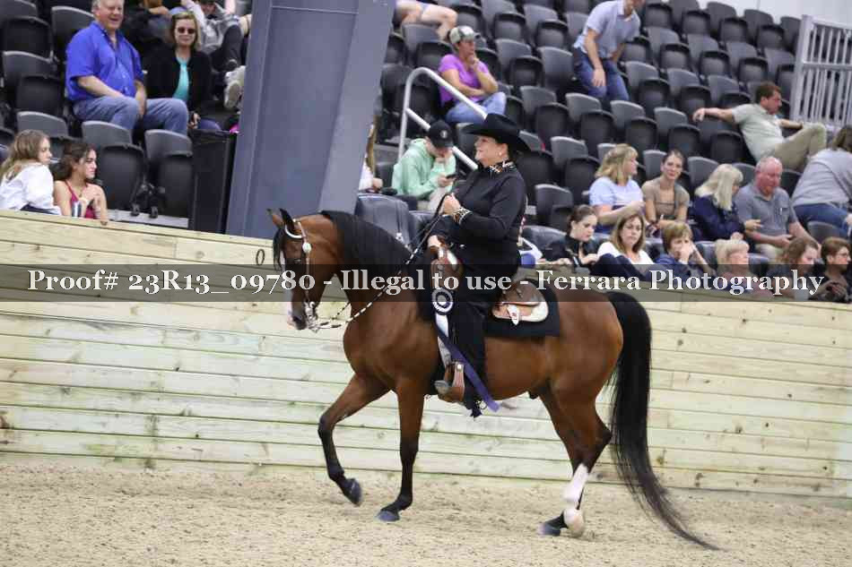 Proof Number 23R13_09780