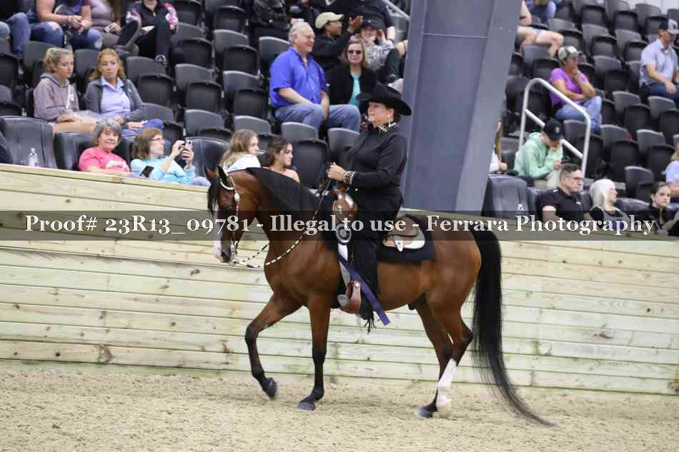 Proof Number 23R13_09781