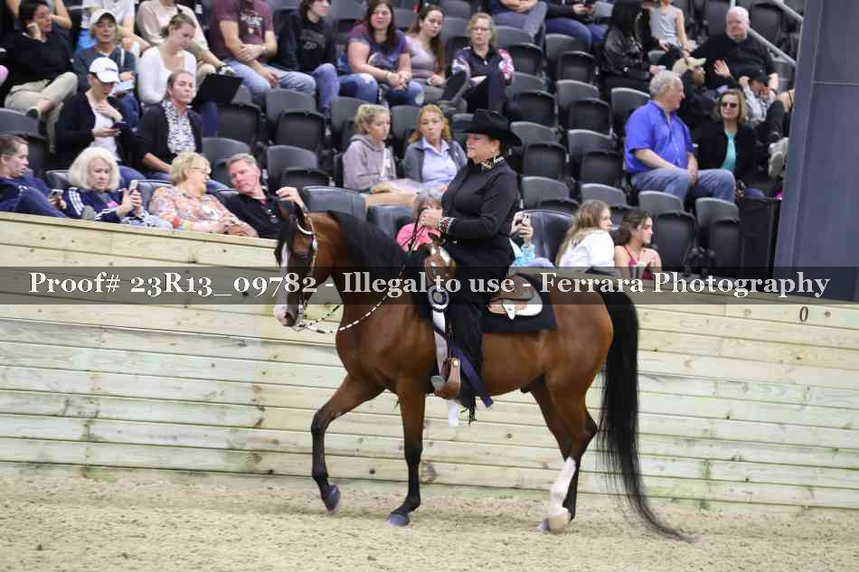 Proof Number 23R13_09782