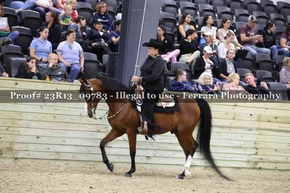 Proof Number 23R13_09783