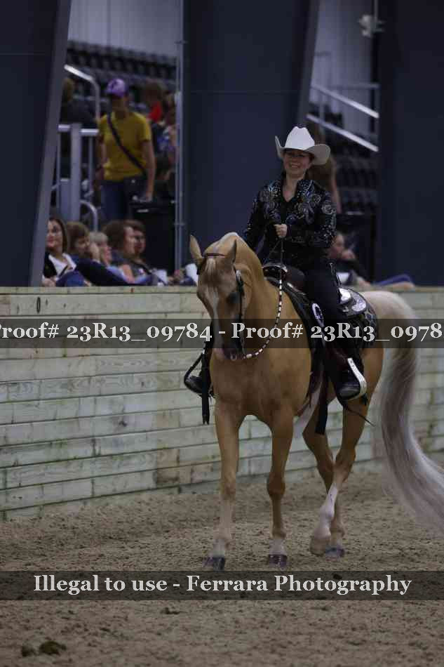 Proof Number 23R13_09784