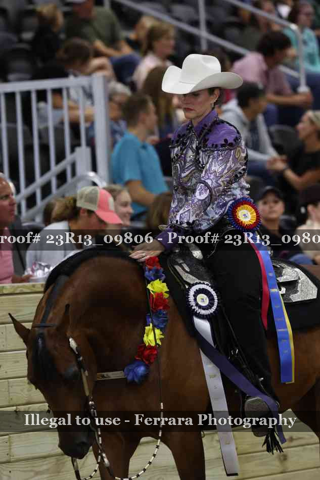 Proof Number 23R13_09806