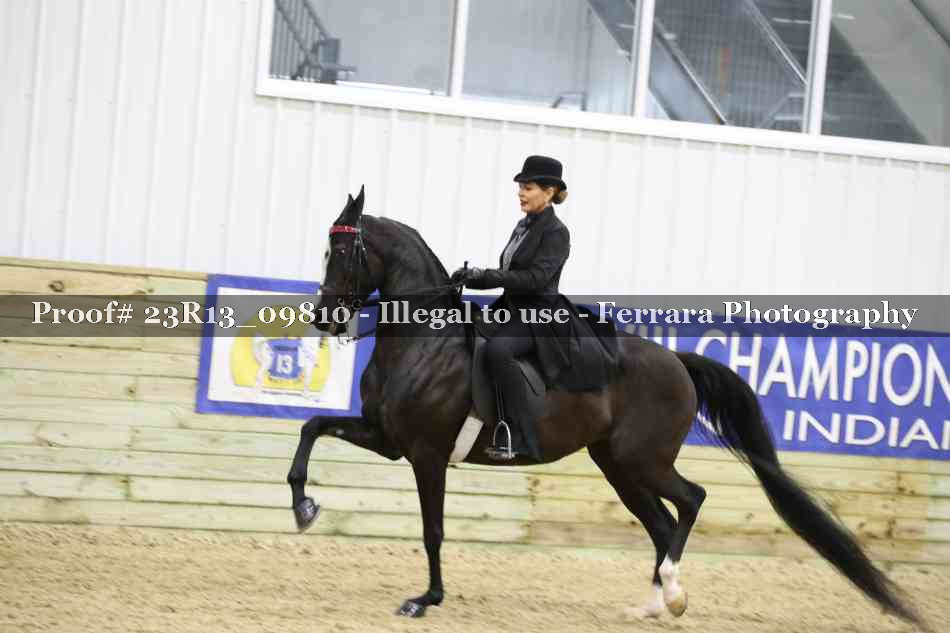 Proof Number 23R13_09810