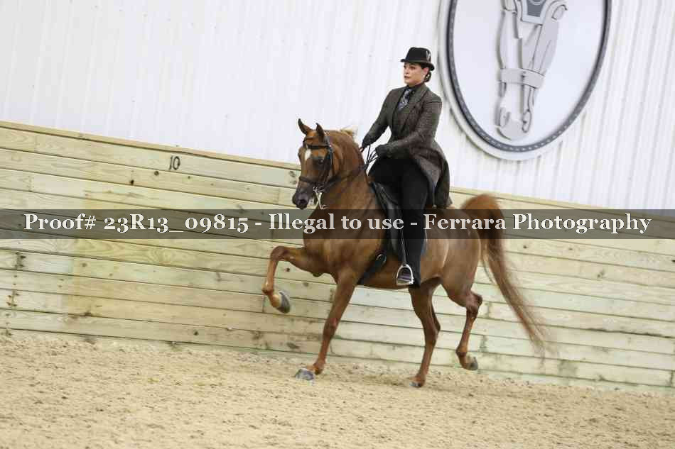 Proof Number 23R13_09815