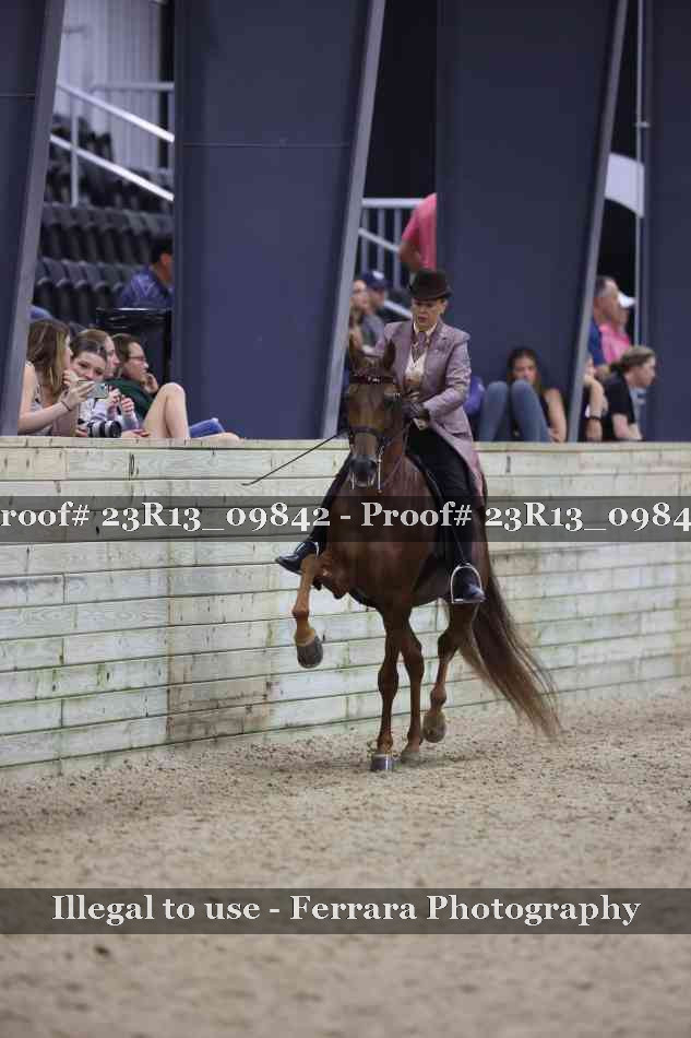 Proof Number 23R13_09842