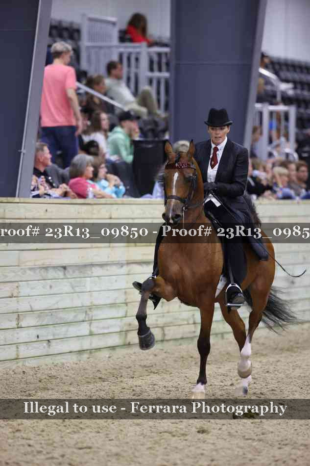 Proof Number 23R13_09850