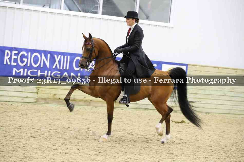Proof Number 23R13_09856