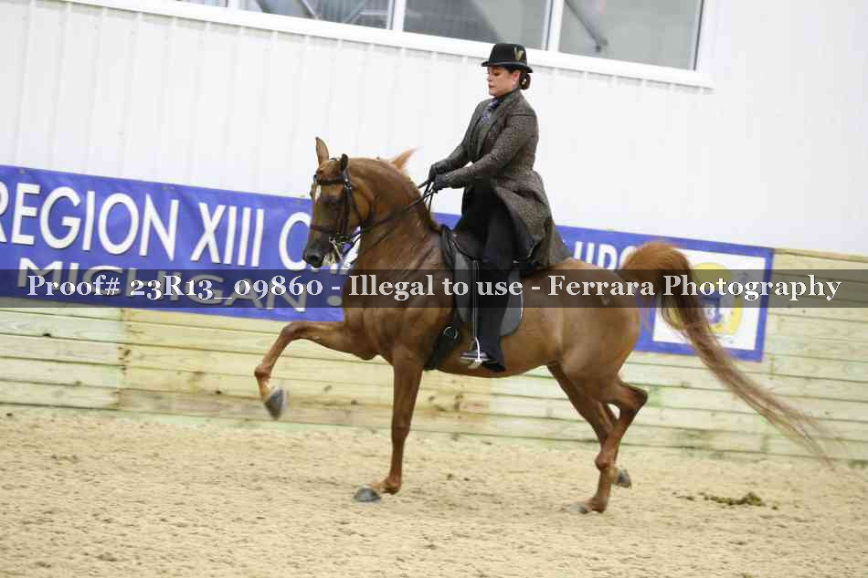Proof Number 23R13_09860