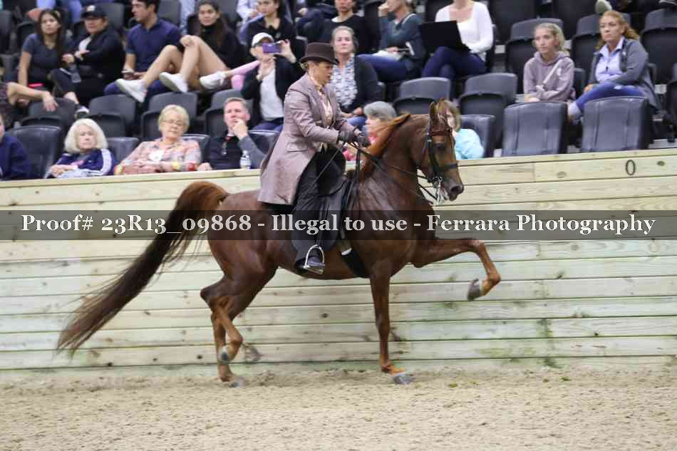 Proof Number 23R13_09868