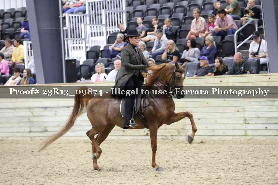 Proof Number 23R13_09874
