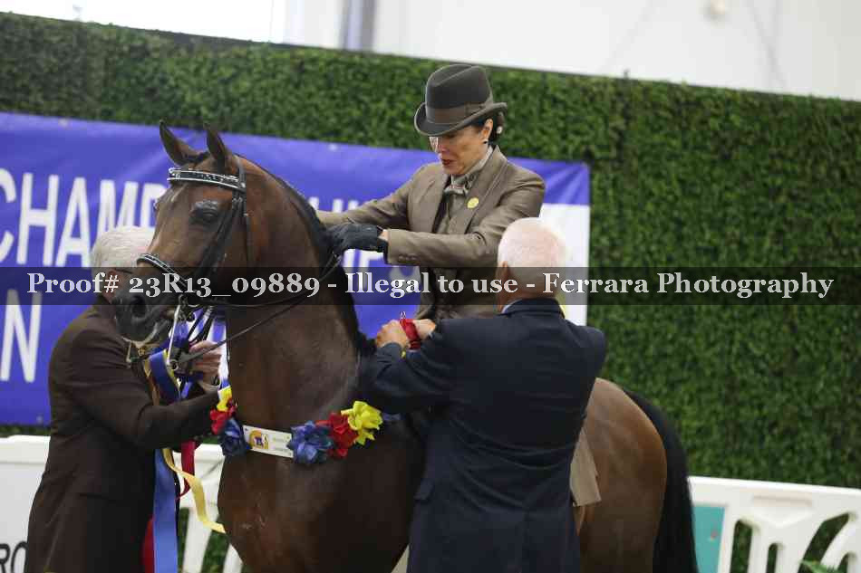 Proof Number 23R13_09889