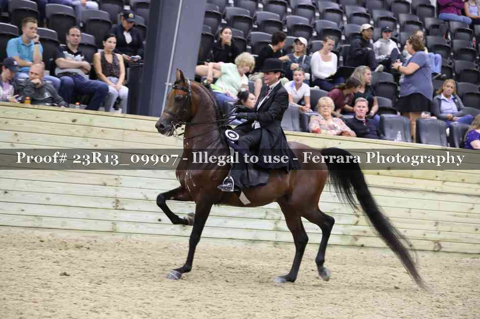 Proof Number 23R13_09907