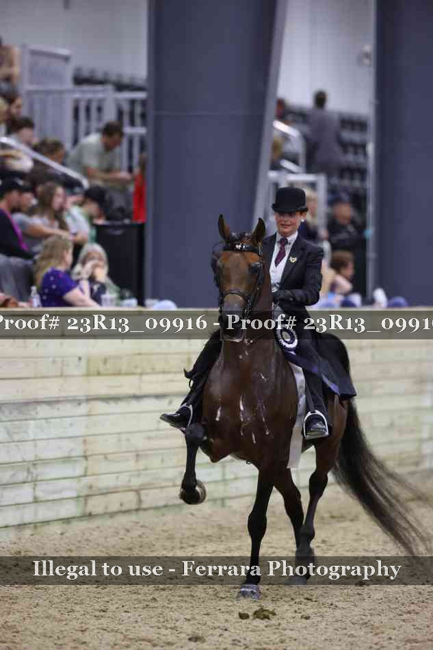 Proof Number 23R13_09916