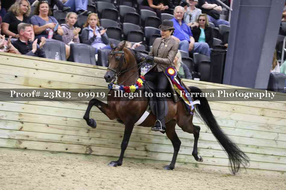 Proof Number 23R13_09919