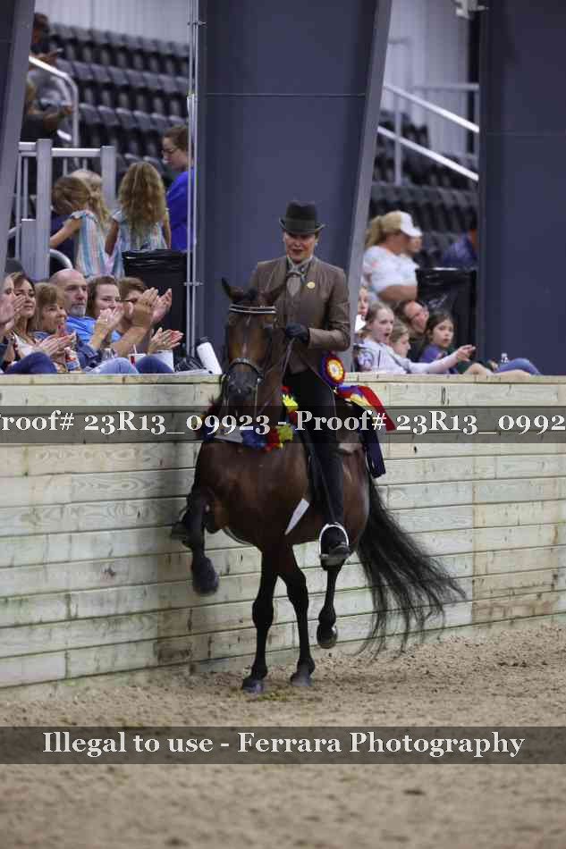 Proof Number 23R13_09923