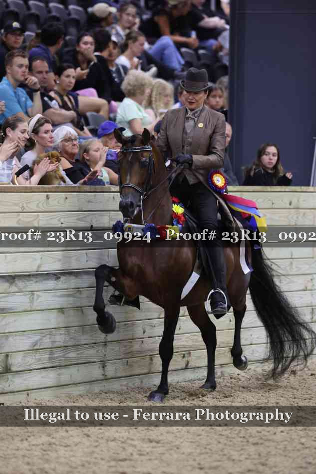 Proof Number 23R13_09924
