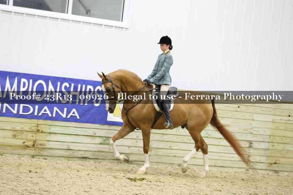 Proof Number 23R13_09926