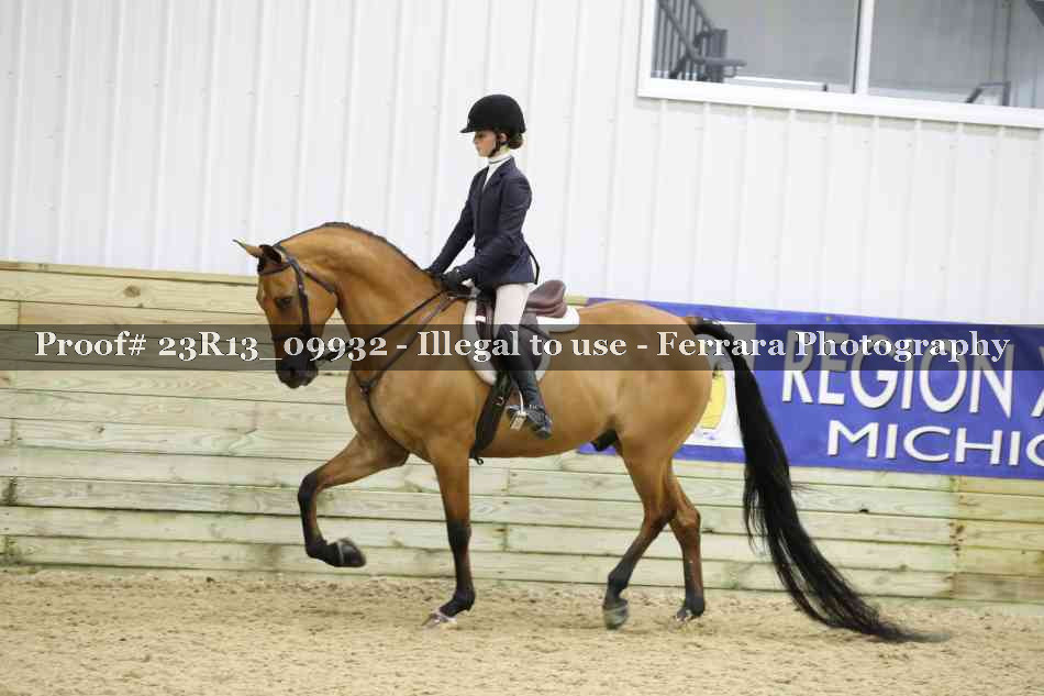 Proof Number 23R13_09932
