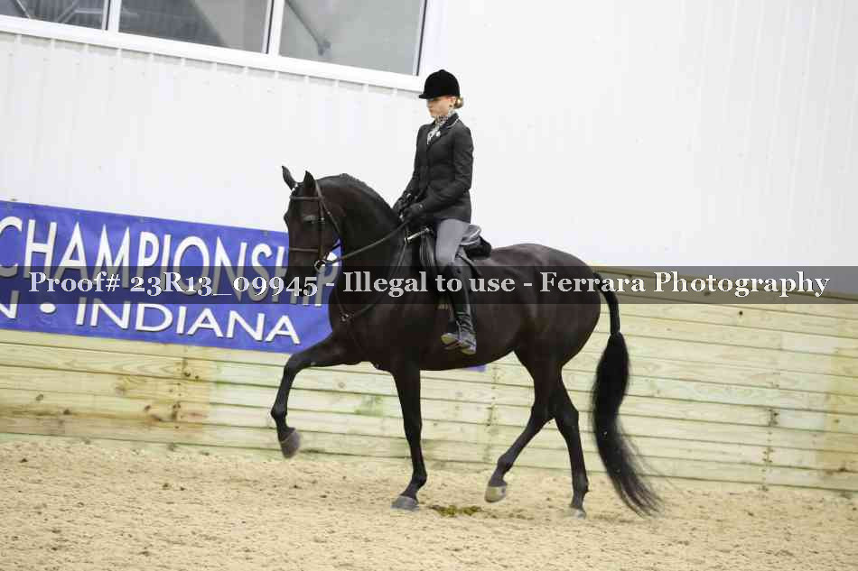 Proof Number 23R13_09945