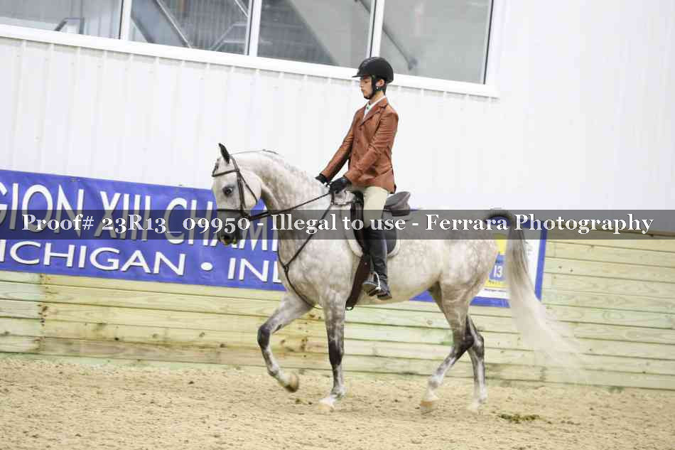 Proof Number 23R13_09950
