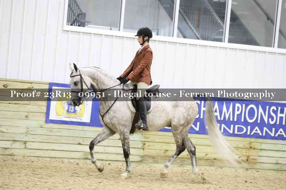 Proof Number 23R13_09951