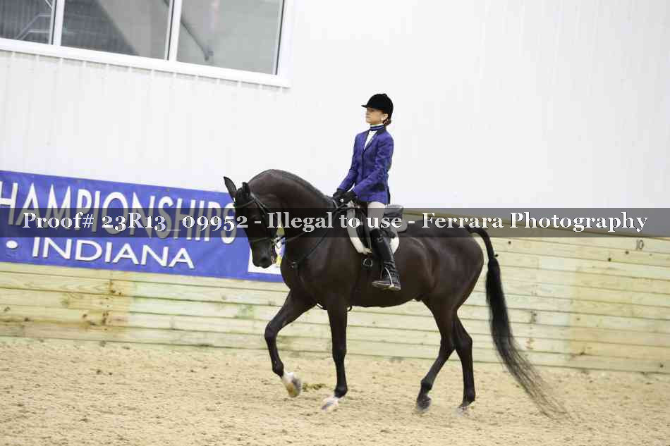 Proof Number 23R13_09952