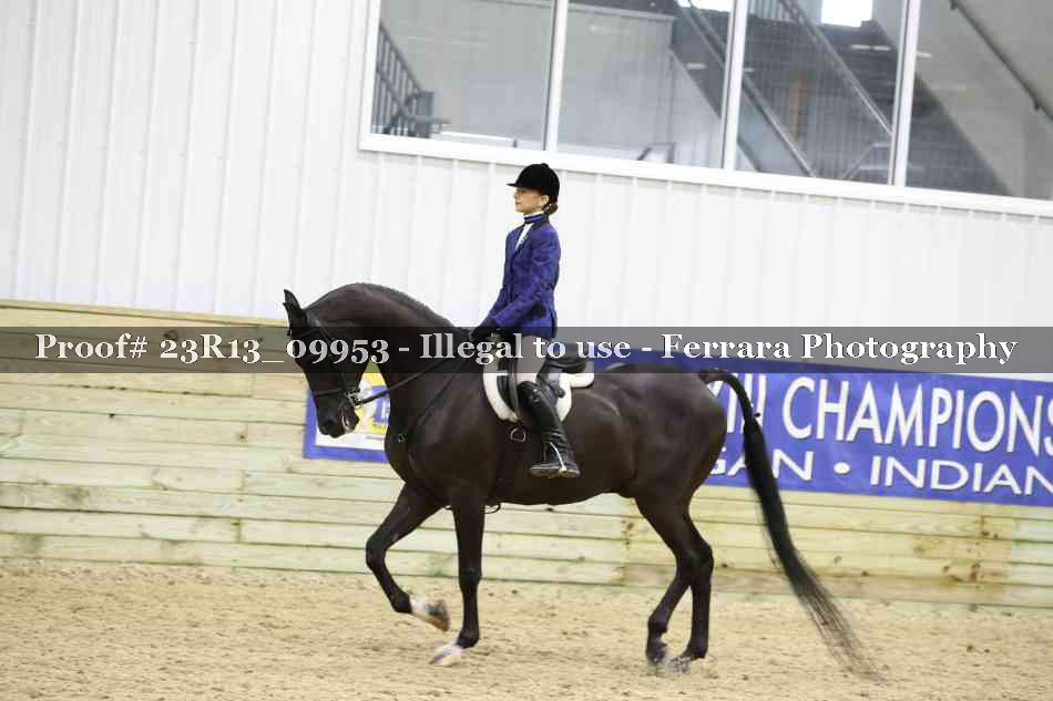 Proof Number 23R13_09953