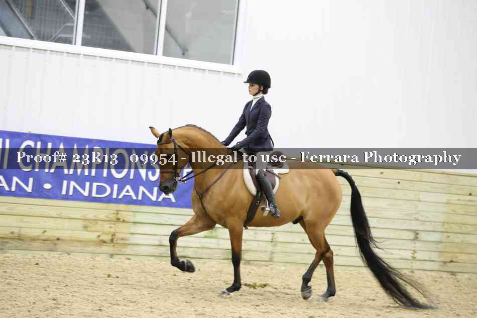Proof Number 23R13_09954