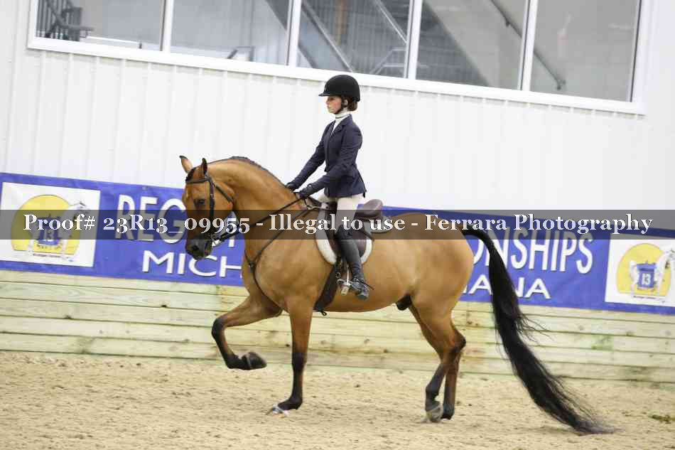 Proof Number 23R13_09955