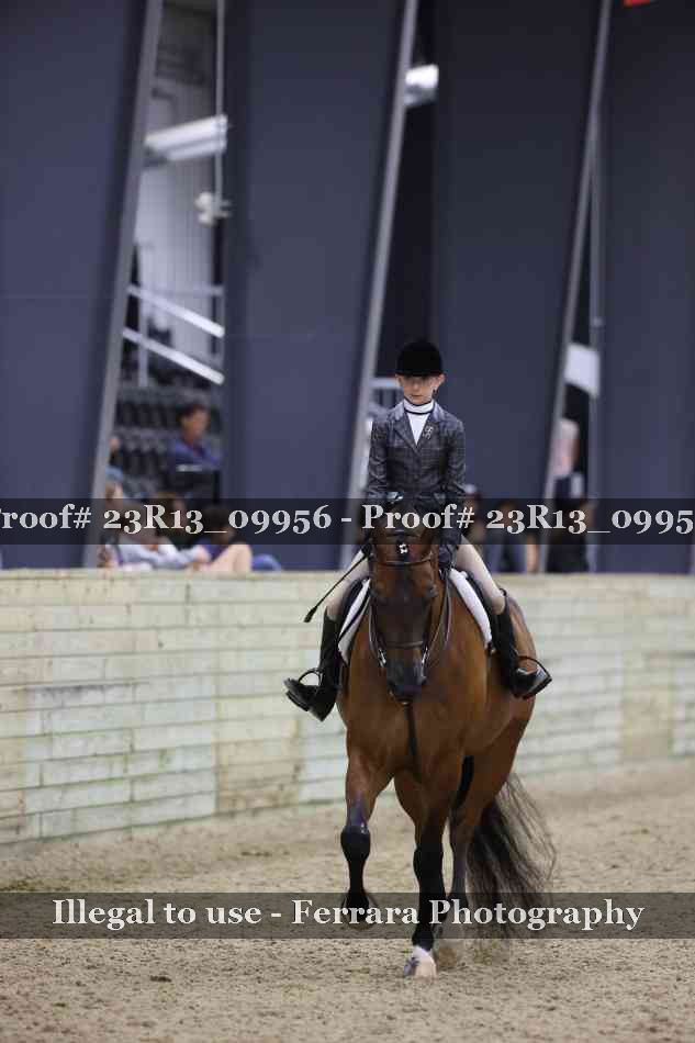 Proof Number 23R13_09956