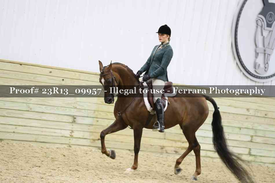 Proof Number 23R13_09957
