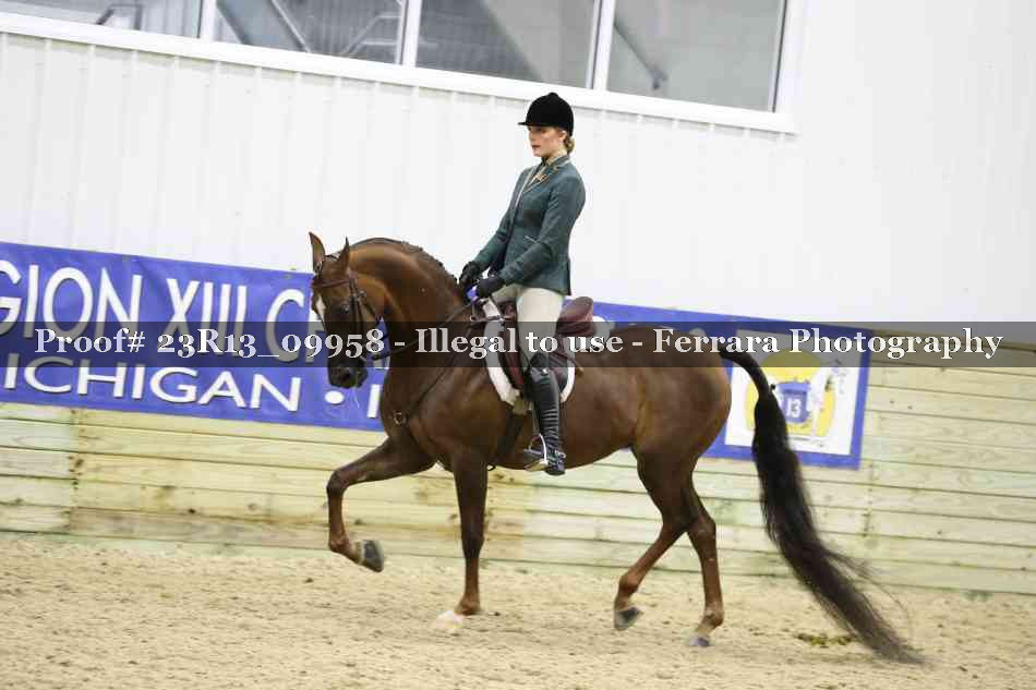 Proof Number 23R13_09958