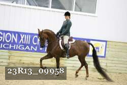 23R13_09958 thumbnail