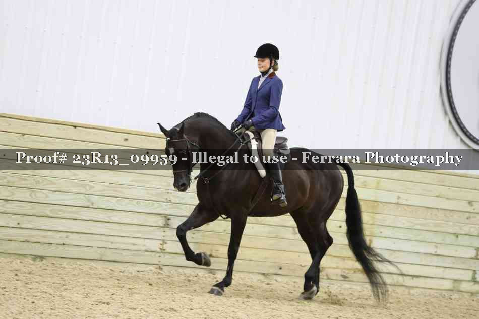 Proof Number 23R13_09959