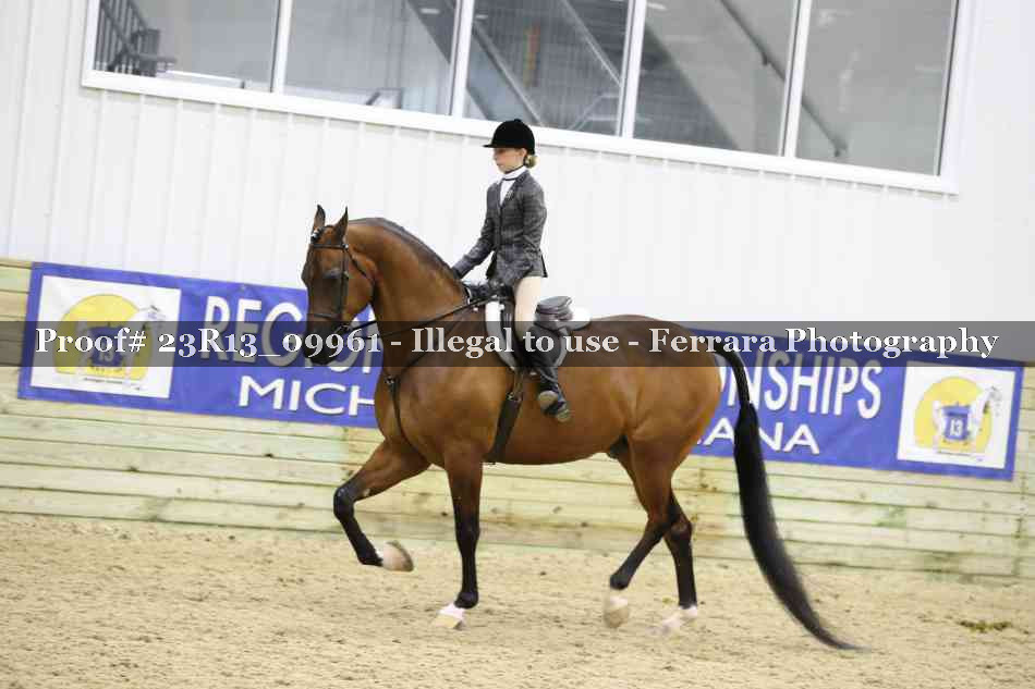 Proof Number 23R13_09961