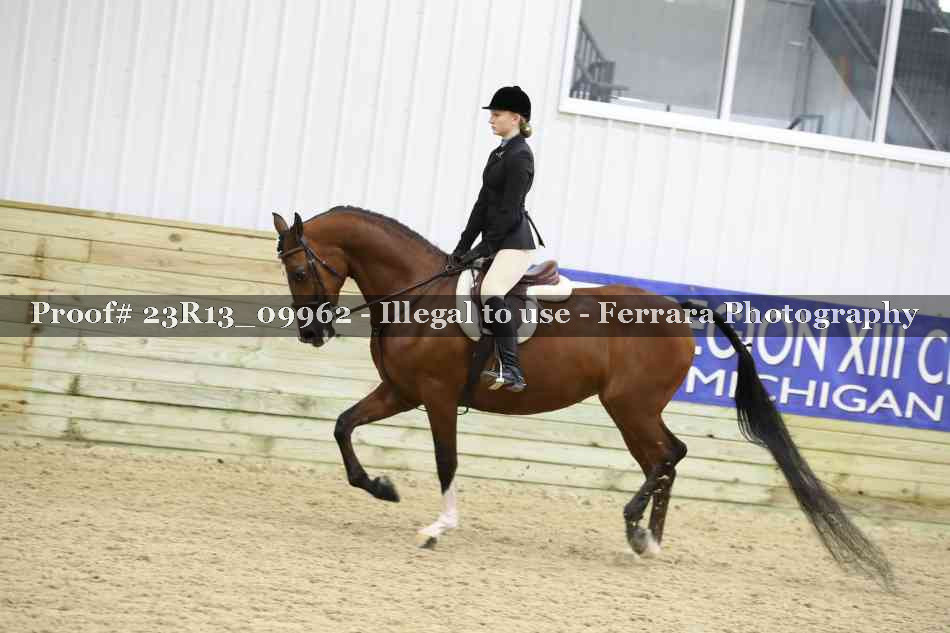 Proof Number 23R13_09962