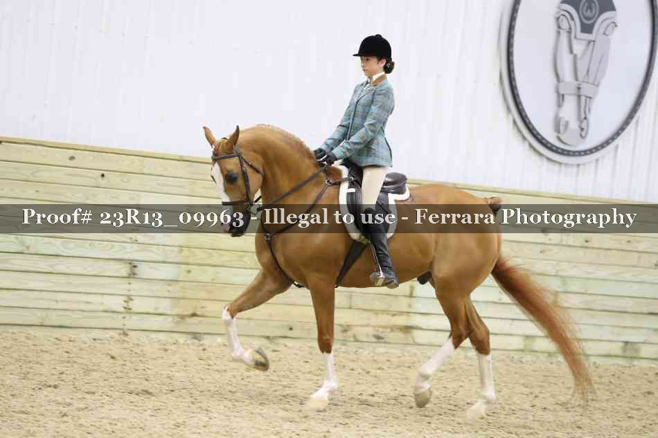 Proof Number 23R13_09963