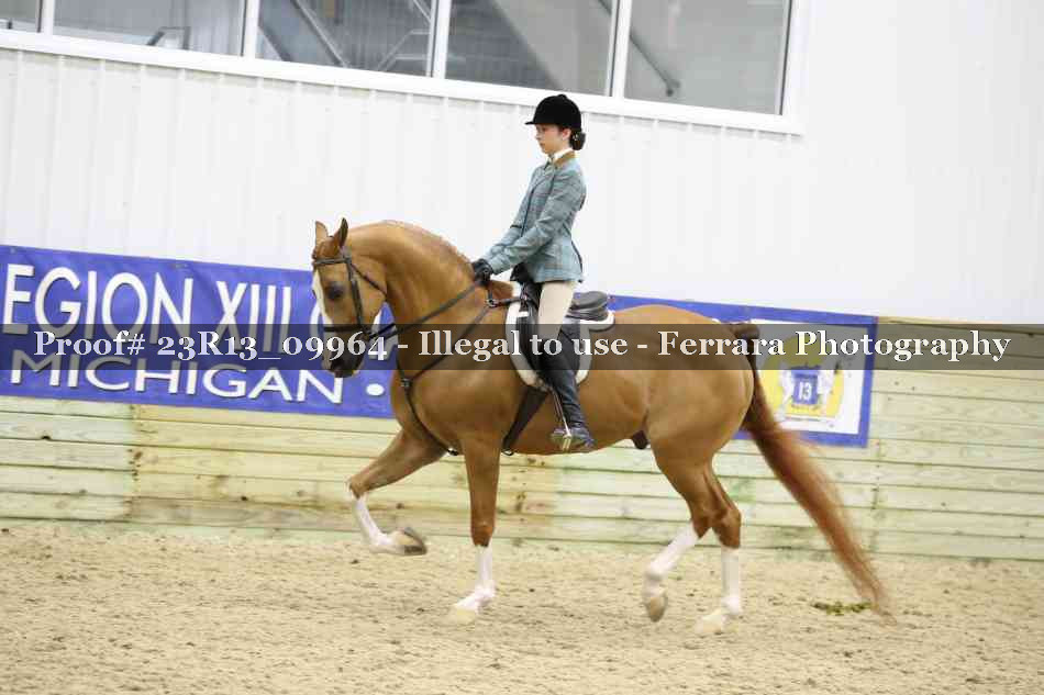 Proof Number 23R13_09964