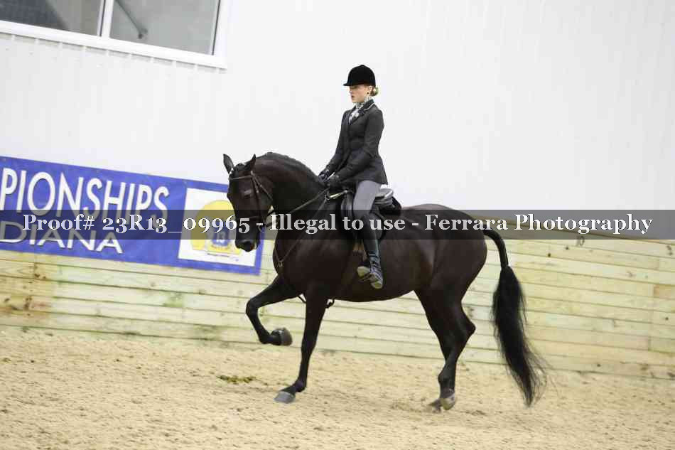 Proof Number 23R13_09965