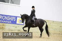 23R13_09965 thumbnail