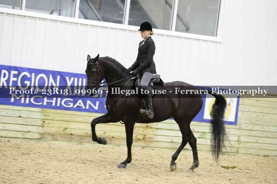 Proof Number 23R13_09966