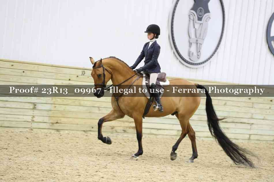 Proof Number 23R13_09967