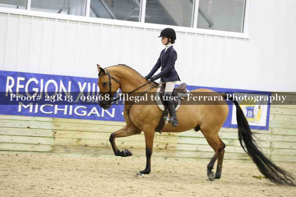 Proof Number 23R13_09968