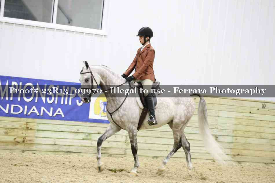 Proof Number 23R13_09970