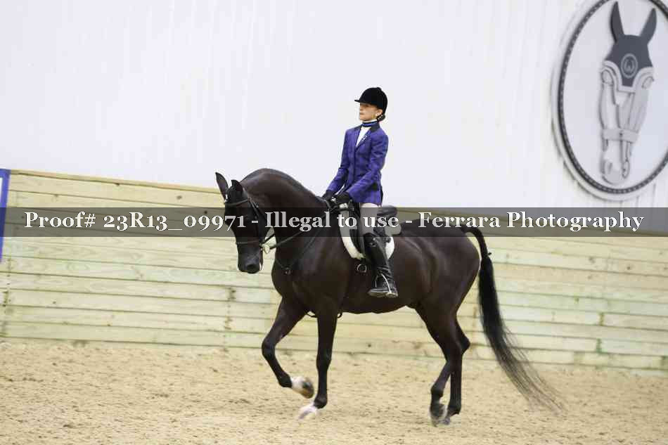 Proof Number 23R13_09971