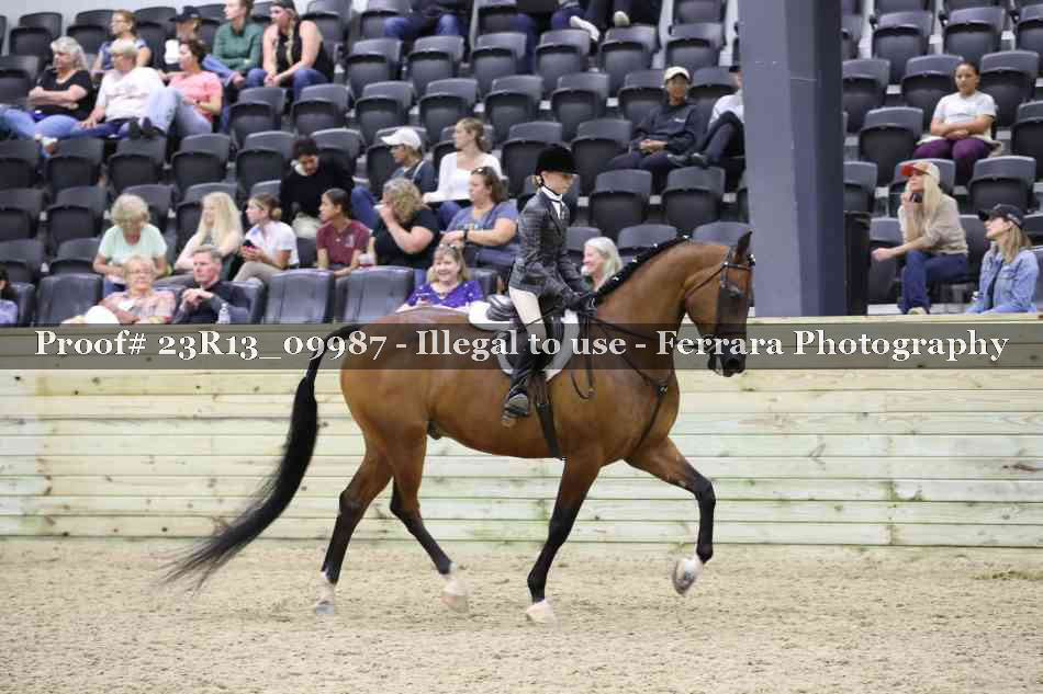 Proof Number 23R13_09987
